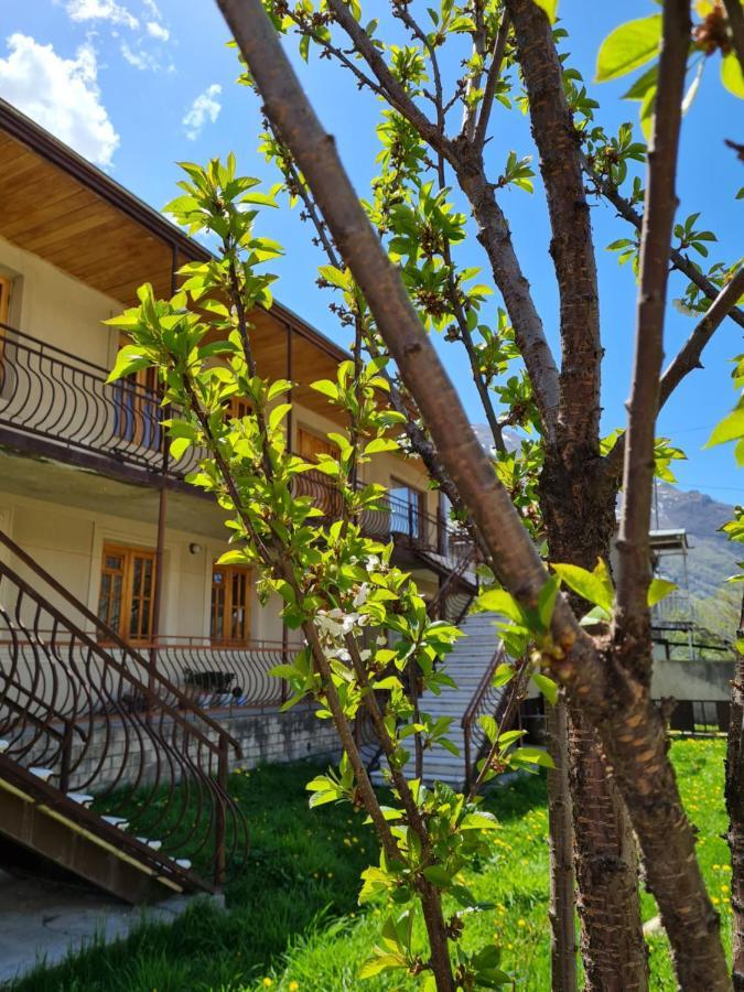 מלון קזבגי Sunny Mountain House מראה חיצוני תמונה